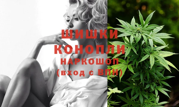 ГАЛЛЮЦИНОГЕННЫЕ ГРИБЫ Арсеньев