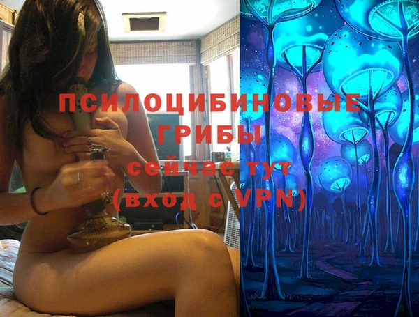 прущие грибы Балахна