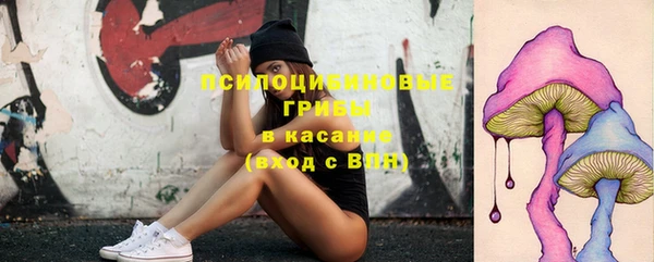 ГАЛЛЮЦИНОГЕННЫЕ ГРИБЫ Арсеньев