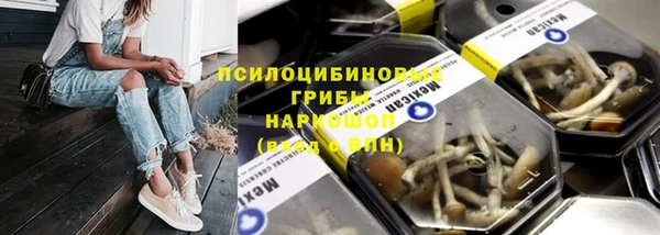 ГАЛЛЮЦИНОГЕННЫЕ ГРИБЫ Арсеньев