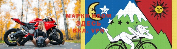 ГАЛЛЮЦИНОГЕННЫЕ ГРИБЫ Арсеньев
