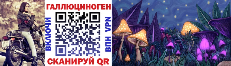 Псилоцибиновые грибы мицелий  как найти закладки  Оса 